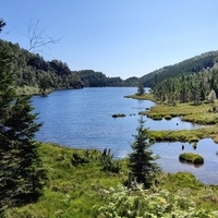 AlekseiD_81