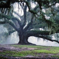 Love Nature-People