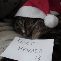 Олег Нечаев