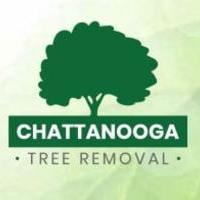 Chattanooga Tree Removal