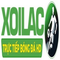 maltajazzfestival  Fake