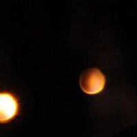 Stas Koltsov