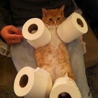 qweqweqq