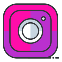 snapinsta Instagram Video Download