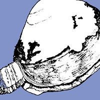 Tresus Capax