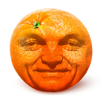 JobboldaliTV