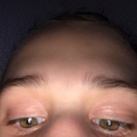 Ieva