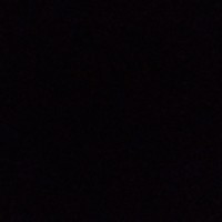 Послышалось!