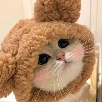 Vivi