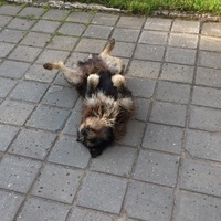 Кирилл