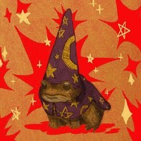 Frog Wizard 