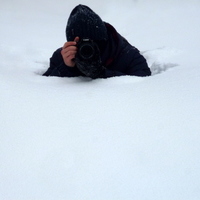 artem_guy