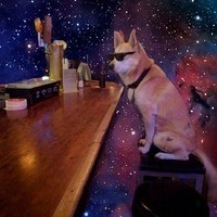 Артем Криштофик