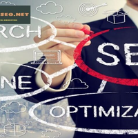 Dịch vụ SEO