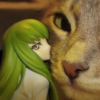 Matoiimaru_