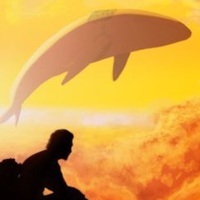 ƑլƔⅈng    W h a լ ⅇ 