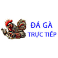 Đá Gà Trực Tiếp