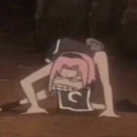 ' ' Петушок ' ' 