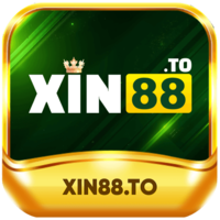 xin88to