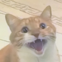 Yelbediyelel 