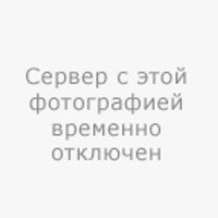 Egor Alexandrovich