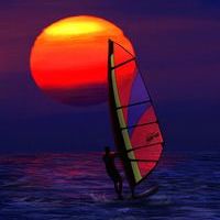 Windsurfer