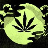 Stoner