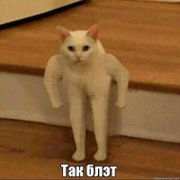 el_nekit