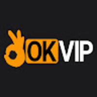 OKVIP Racing