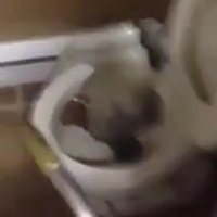 easytocremate