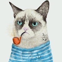 Владислав Громов