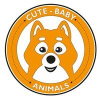 Cute Baby Animals