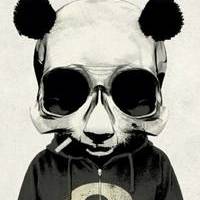 Panda in P'yJama