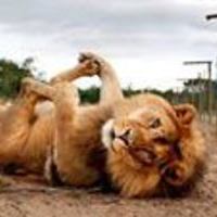 Евгений Майданников