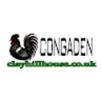CONGADEN TRỰC TIẾP ĐÁ GÀ THOMO