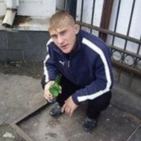 Тупой Инет