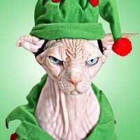 Аристарх Керогазов