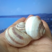 Fontamaster