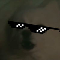 GABE THE DOG