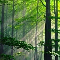 Юрий Осипов