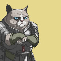 CatTheKnight