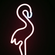 Coub - Dead Flamingo