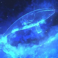 Whale 52hz