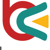 Branex - Web Design Agency New York