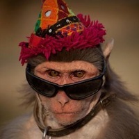 Галя Волкова