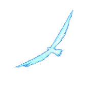 noweretofly