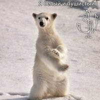 Игорь Нискажу