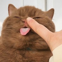 BaCbKa