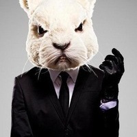 FunRabbit