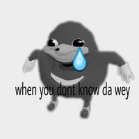 SS0S0